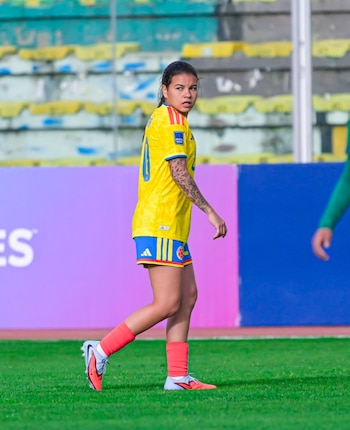 Ha formado parte de la