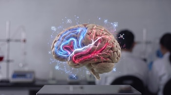 Un modelo tridimensional de cerebro humano con activaciones luminosas azules y rojas, rodeado de una red digital con iconos, sobre una superficie reflectante en un laboratorio con dos personas.