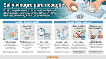 Infografía con pasos e ilustraciones sobre un lavabo, frascos con ingredientes, un reloj, químicos de limpieza y un plomero.