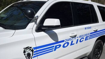 Un hombre dispara desde un