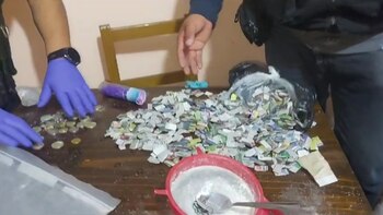 Policía logró la captura de