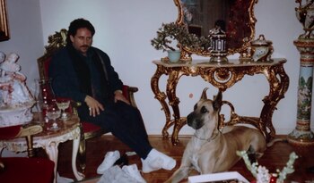 Estas son la series más