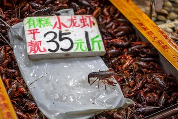 En el mercado de Guangzhou,