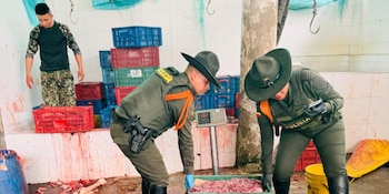 Megatoma de seguridad en Silvania: desmantelado matadero clandestino de carne equina que contaminaba el río Subía - crédito Gobernación de Cundinamarca