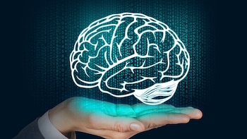 El poder de la neurocomunicación