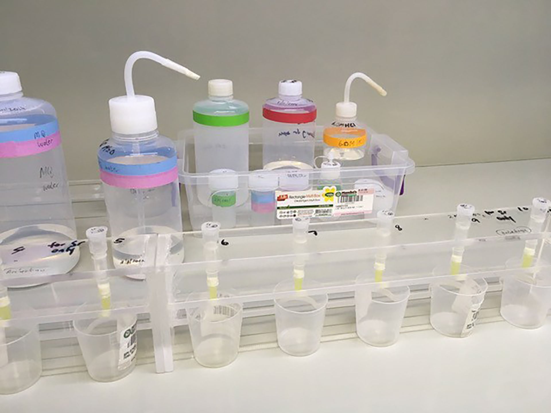 La paleogenómica permitió identificar la continuidad genética y los linajes ancestrales de las poblaciones que habitaron el Valle de Uspallata a lo largo de más de dos mil años