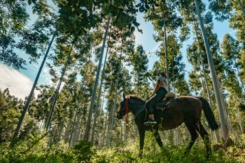 Paseos a caballo en Iberá,