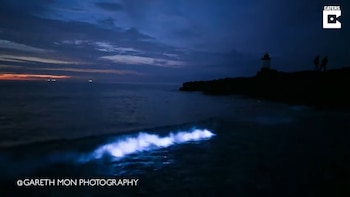 Capturan en imágenes la magia del plancton bioluminiscente en una playa de Gales - crédito @GARETH MON PHOTOGRAPHY