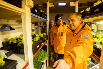 Para evitar los alimentos ultracongelados,