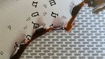 En la guerra contra el