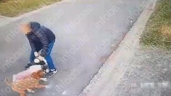 Hombre con chaqueta oscura y pantalones azules forcejea con dos perros en una calle pavimentada. Un perro es marrón y blanco, el otro más oscuro. Al lado, césped