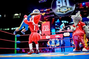 Las mascotas de la NFL