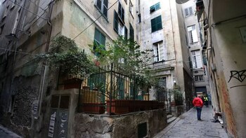 Peruano murió atravesado por una