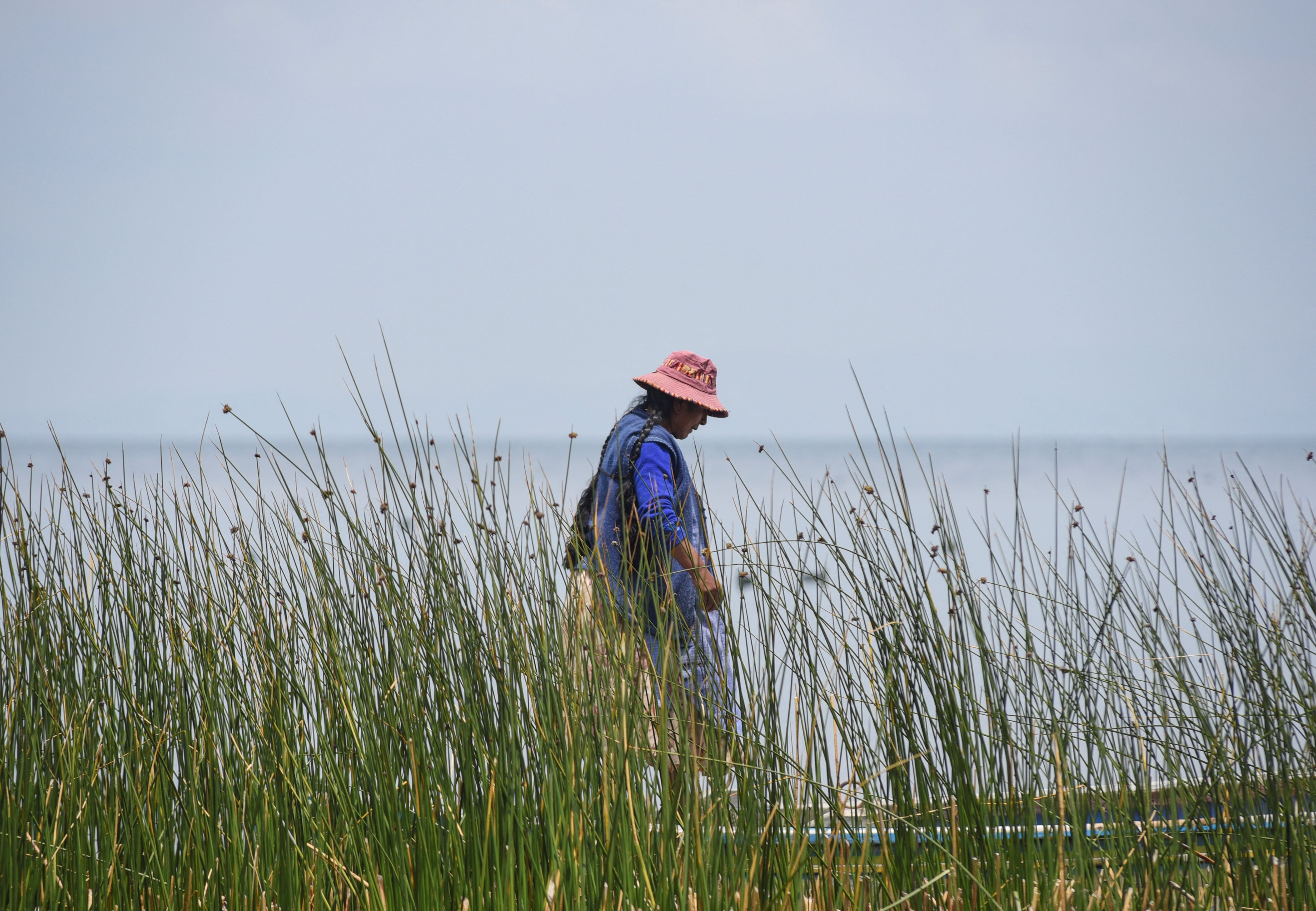 Una mujer indígena navega al borde del Lago Titicaca (REUTERS/ Claudia Morales)