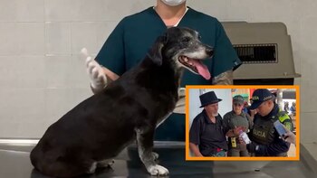 Los hechos ocurrieron en la