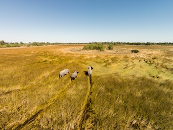 Las Cataratas Victoria y el