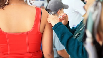 ¿Quiénes deberían vacunarse contra el