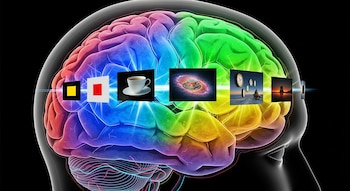 El enfoque innovador de PATH