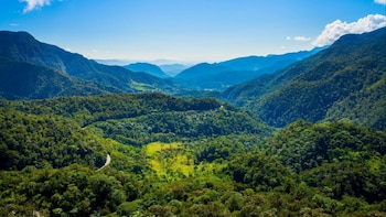 El Bosque de Protección Alto