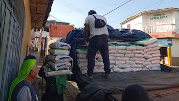 El Salvador impulsa el aumento de la productividad agrícola con semillas de maíz de alta genética