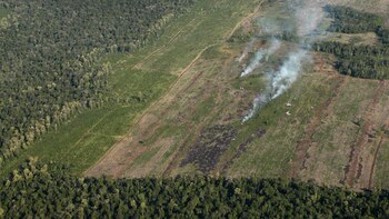 Según el especialista, sino