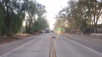 El conductor intentó esquivar a