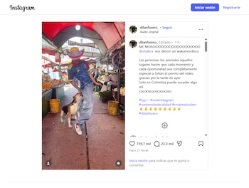 El bailarín subió su coreografía de la canción de Shakira en sus redes sociales - crédito @dilanforero_/Instagram
