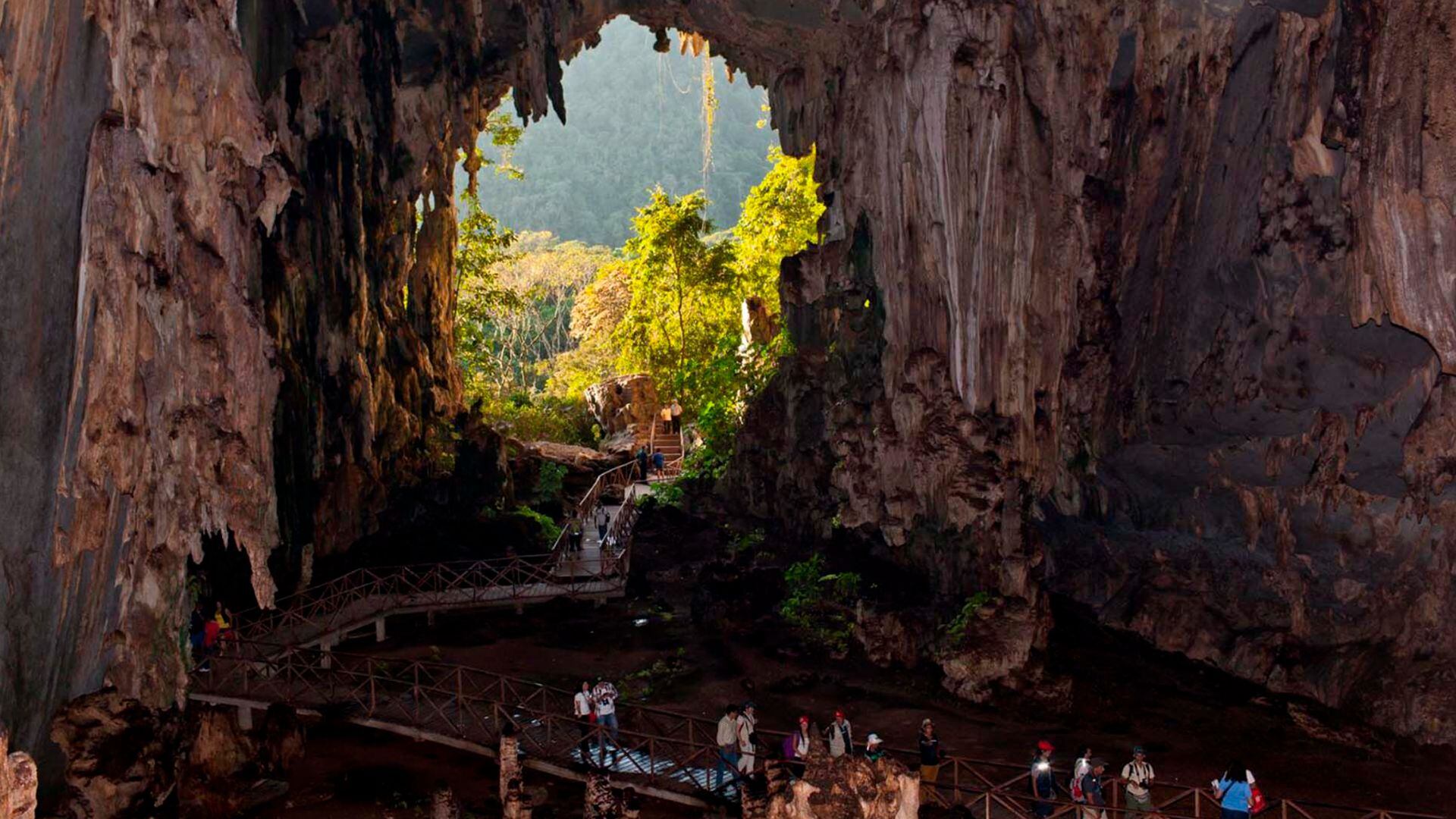 Rodeada de montañas y el río Huallaga, Tingo María fue fundada en 1938, consolidando su lugar como puerta de ingreso a la Amazonía y emblema del progreso huanuqueño. (Andina)