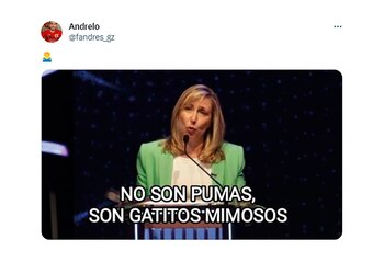 MEMES PUMAS ALL BLACKS