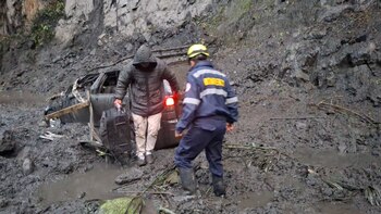 Hasta 15 centímetros de altura