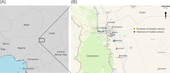 Dos mapas geográficos con marcadores amarillos y azules que señalan puntos de estudio en la zona fronteriza de Chad y Camerún