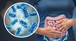 Los ocho errores alimentarios que alteran el microbioma intestinal y cómo evitarlos