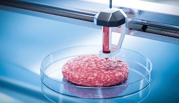 Si bien la impresión 3D