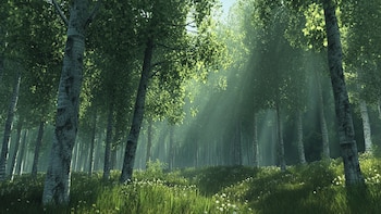 La expansión del H5N1 afecta