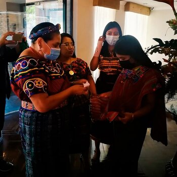 "Peace Peace Now Now" recorrerá