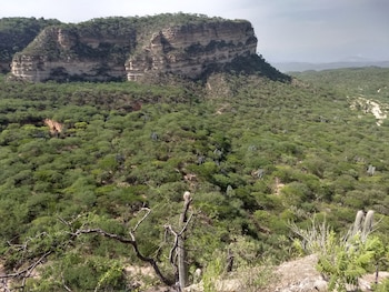 El Valle de Tehuacán, lugar