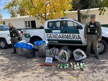 El cargamento incautado esta semana