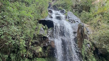 Su caída es de aproximadamente