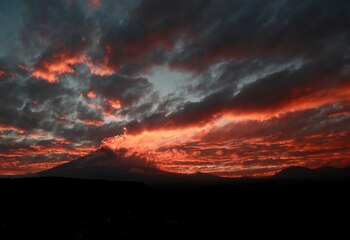 El patrimonio natural de las