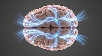 Representación digital de un cerebro humano, visto desde arriba, con flechas azules luminosas que parten de su centro y se curvan hacia los bordes.