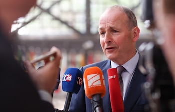 Imagen SRSPIMXNH5EY3FMK7GOK5IVOVY