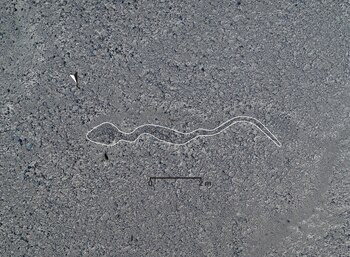 Son figuras más pequeñas y