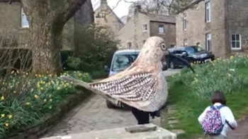 Un hombre camina 85 kilómetros disfrazado de “pájaro gigante” para salvar a una especie en peligro: “Si los niños no lo oyen...”