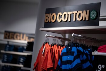 ARCHIVO - El algodón orgánico