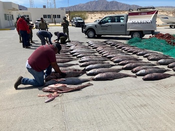 Diversa organizaciones participaron en el