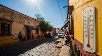 Termómetro blanco en una pared amarilla mostrando alta temperatura en una calle soleada de México con edificios antiguos, personas buscando sombra y un perro.