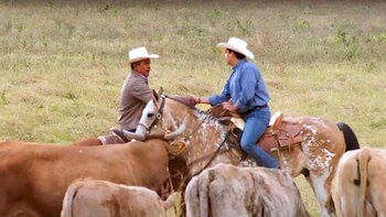 “Estamos del lado del campo