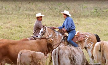 El ex gobernador de Tamaulipas