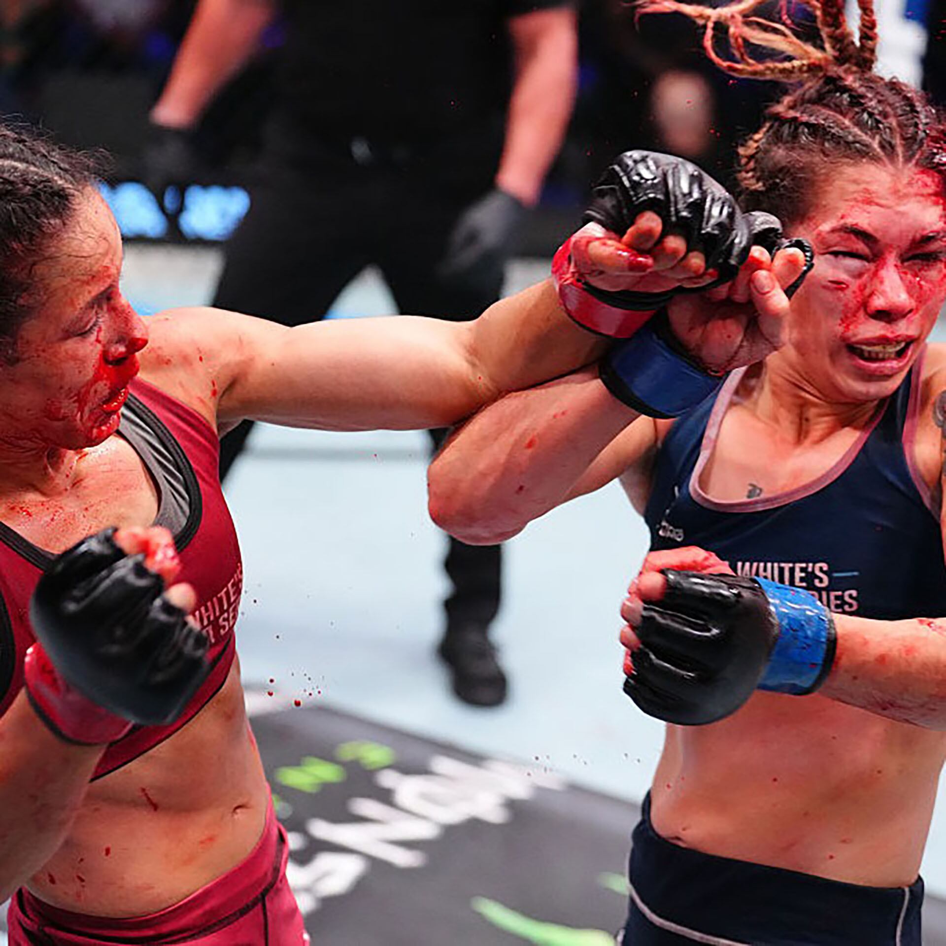 Montenegro no pudo con su rival en las tarjetas (@ufcespanol)