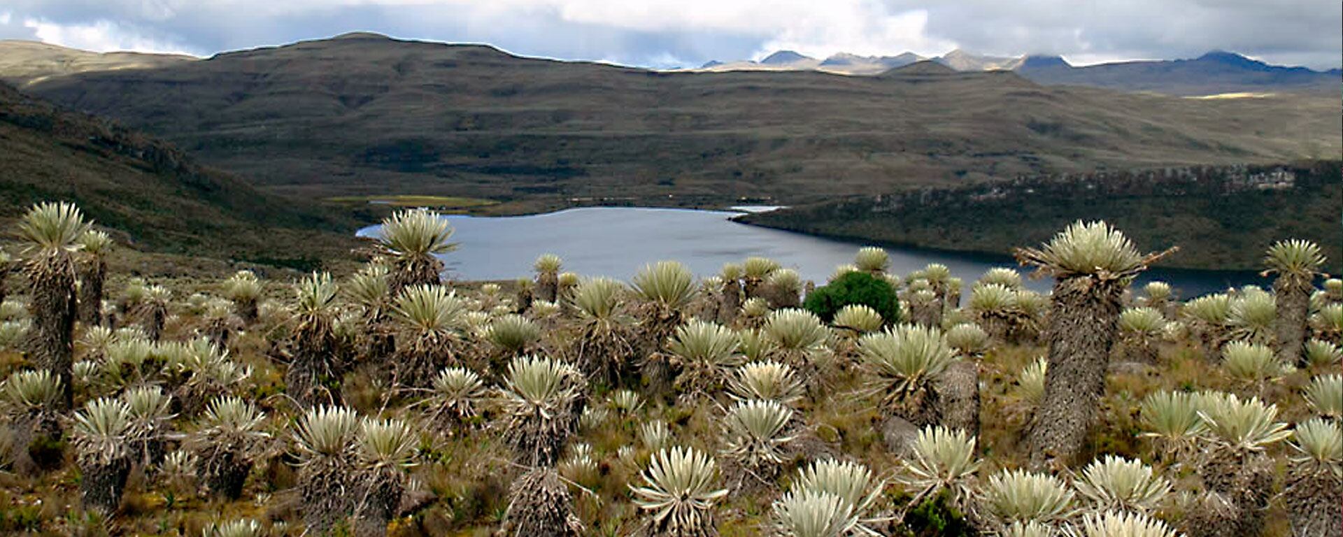 La falta de senderos interpretativos, señalización y equipamientos limita la capacidad del PNN Sumapaz para garantizar el turismo responsable - crédito Parques Nacionales Naturales de Colombia
